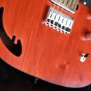 Telecaster Red Bird Instruments