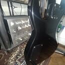Hohner Professional Scorpion ST