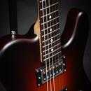 Poul Guitars Tele