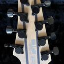 Ibanez TJ Craft RG2228 Japan s kufrem - rok výroby 2009