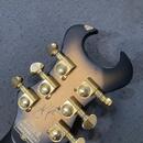 Schecter Synyster Gates Custom S SGB - Sustainiac 