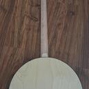 Plectrum banjo Gold Tone