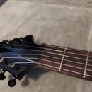 Elektrická kytara ESP LTD FRX-401 Black