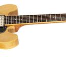 EPIPHONE DOT 339 NATURE