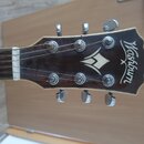 Detail hlavy kytary v tmavě hnědé barvě s bílým lemováním. V horní části je bílý nápis Washburn a uprostřed je umístěno bílé logo ve tvaru stylizovan…