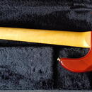 NÁDHERNÝ MM STINGRAY EB LH 5  2005 HONEYBURST