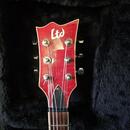 Esp ltd FM200