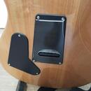 PRS SE Custom 24 DC 2021 Faded Blue Burst + obal