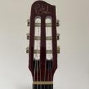Godin Multiac Nylon Deluxe