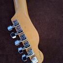 Fender American Standard telecaster s kufrem