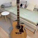 Harley Benton CLJ-503CE WN