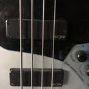 Sgueir jazz bass Cintemporary 