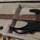 Elektrická kytara ESP LTD FRX-401 Black