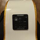 Gretsch G5022CWFE-12 Falcon Rancher + GATOR Case