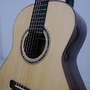 Dowina Master Series Indian Rosewood Selection DLX OMG