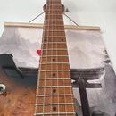 EVH Wolfgang Standard