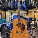 Cort Earth 100F NAT (elektronika Fishman)