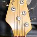 NÁDHERNÝ MM STINGRAY EB LH 5  2005 HONEYBURST