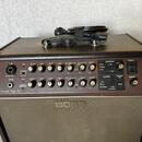 Boss Acoustic Singer Pro