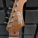 JET Guitars JT-350 SB R