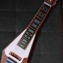 PRODÁM LAP STEEL KYTARY