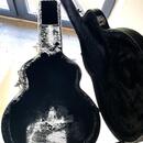 Prodám YAMAHA APX 500