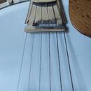 Banjo Mustang