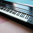 Hohner Clavinet Pianet DUO