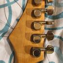 Hohner ST-59 Professional