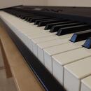 Roland RD-100 Digital piano