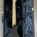 Ibanez TJ Craft RG2228 Japan s kufrem - rok výroby 2009