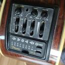 Takamine TAN 16C