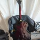 Prodam el.kytaru Gretsch Tenneessee Rose