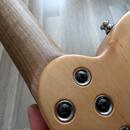 Poul Guitars Tele 2022