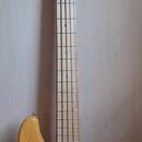 Fender deluxe V