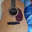 Carlos guitars ag 40