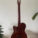 Godin Multiac Nylon Deluxe