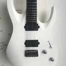 Washburn PX-Solar 160WHM 