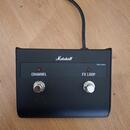 Marshall DSL 20HR