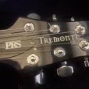 Paul reed smith PRS Tremonti Korea 