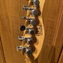 Levoruký Sire Larry Carlton T7TM Natural