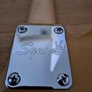 FenderTelecaster Scuier