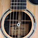 Crafter DLXE 3000 CD/RS + kufr