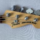Fender Precision (s Jazz bass krkom)