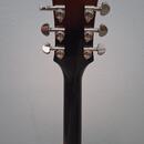 Epiphone ES-339