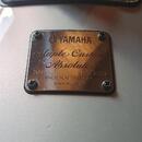 Yamaha Maple Custom Absolute - Made in Japan