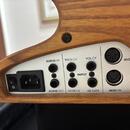 Detail zadní strany dřevěného hudebního nástroje s panelem konektorů. Na panelu jsou nápisy AUDIO IN, PITCH CV, VOL CV, MIDI OUT, AUDIO OUT, FILTER C…
