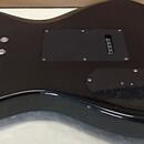 Washburn RX10
