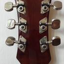 Banjo Mustang