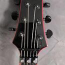 SCHECTER Sullivan King Banshee-6 FR